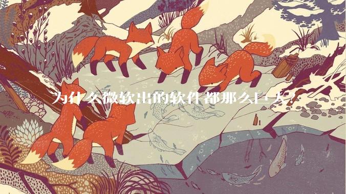 为什么微软出的软件都那么巨大？